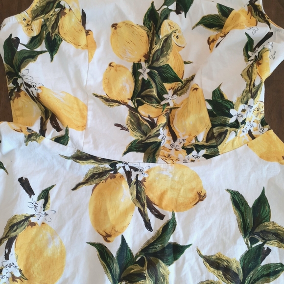 Lemon Print Fit and Flare Dress - Picture 3 of 10